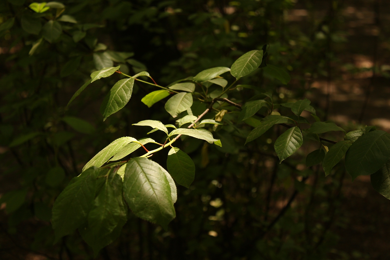 色彩印象·长春