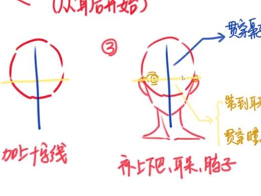 插画人物的头颈肩关系怎么画？详细教程来了！
