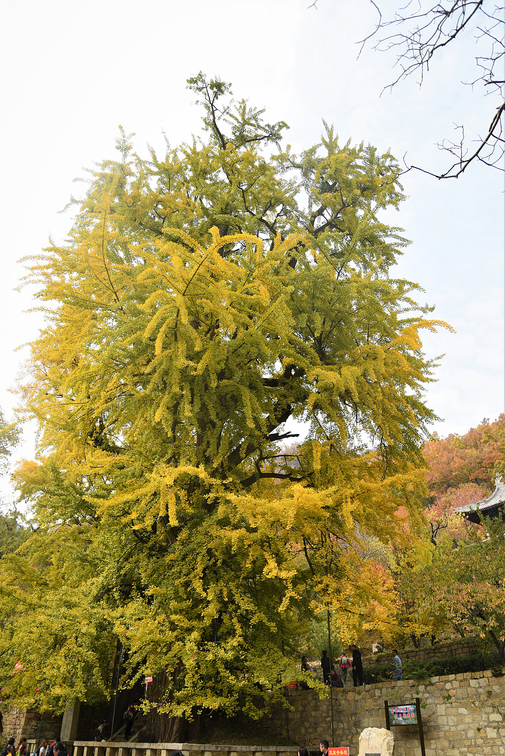 玉泉古寺小记|摄影|风光摄影|w文武双全w - 原创作品 - 站酷 (zcool)