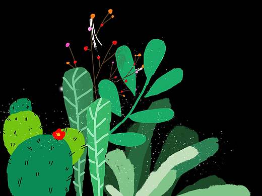 植物插画