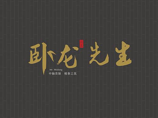 卧龙先生 VI 