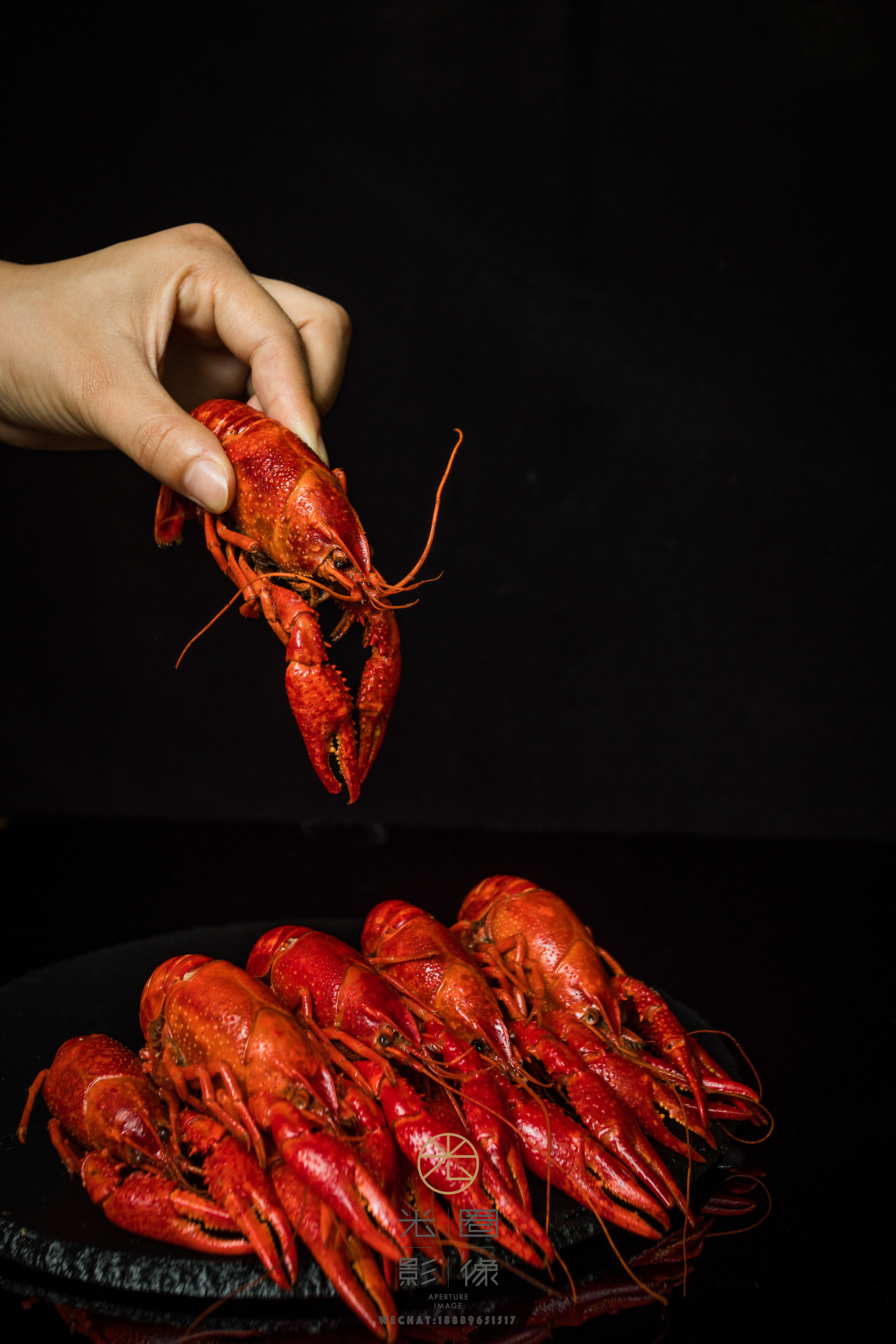海口陈建东功夫龙虾馆美食摄影