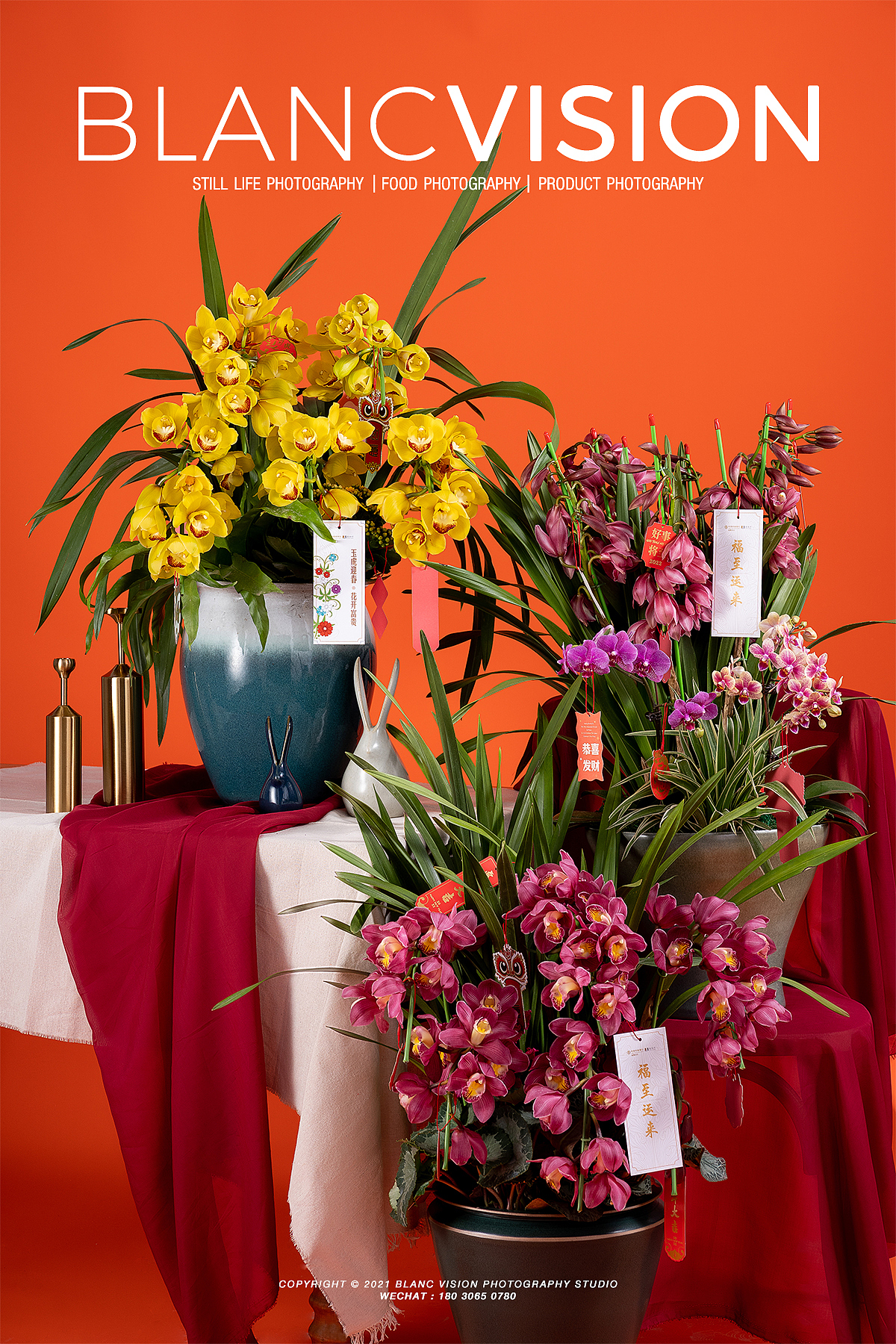 年宵花拍摄|静物摄影|栢蘭视觉