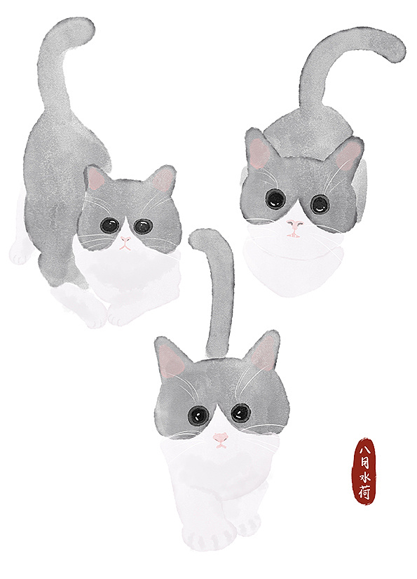 24只可爱到想咬一口的蓝白猫