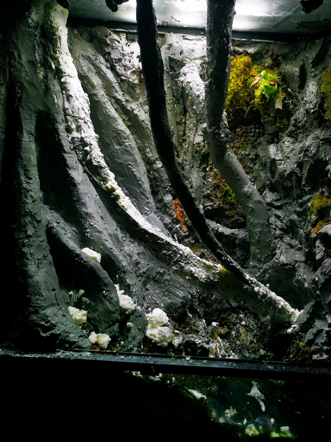 水泥雕塑,雨林缸造景