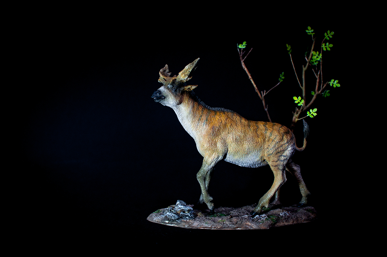 ◤激情充电器◢出品逝去的远古巨鹿西瓦兽