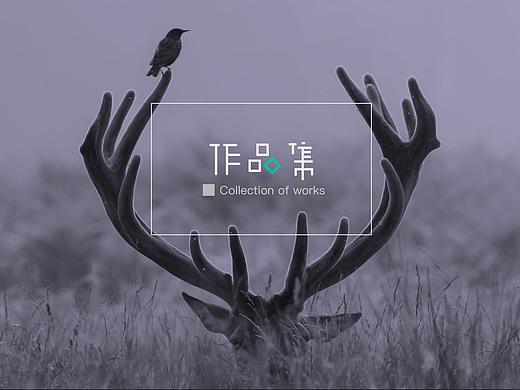 2019作品集