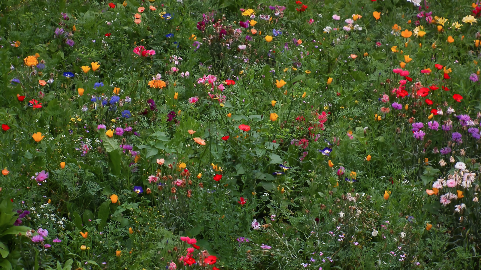 段镁蓉的个人主页（封面预览） - 主页封面设置 - 站酷设计师段镁蓉原创素材 - 站酷ZCOOL