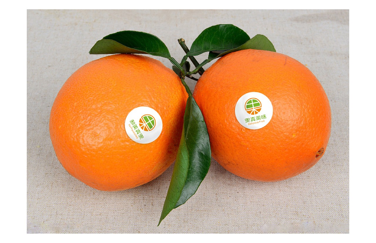 大昭标志字体设计