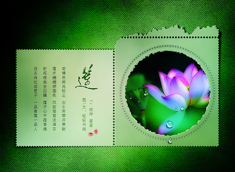 莲（图ZMjIxNzg3ODQ=） - 书籍/画册 - 站酷设计师轻轻书笺原创素材 - 站酷ZCOOL