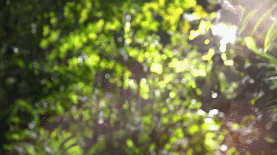 水果茶玻璃水杯电商视频 | 东莞锐图摄影（图ZMjkyODgyMDE2） - 短片 - 站酷设计师东莞锐图摄影原创素材 - 站酷ZCOOL