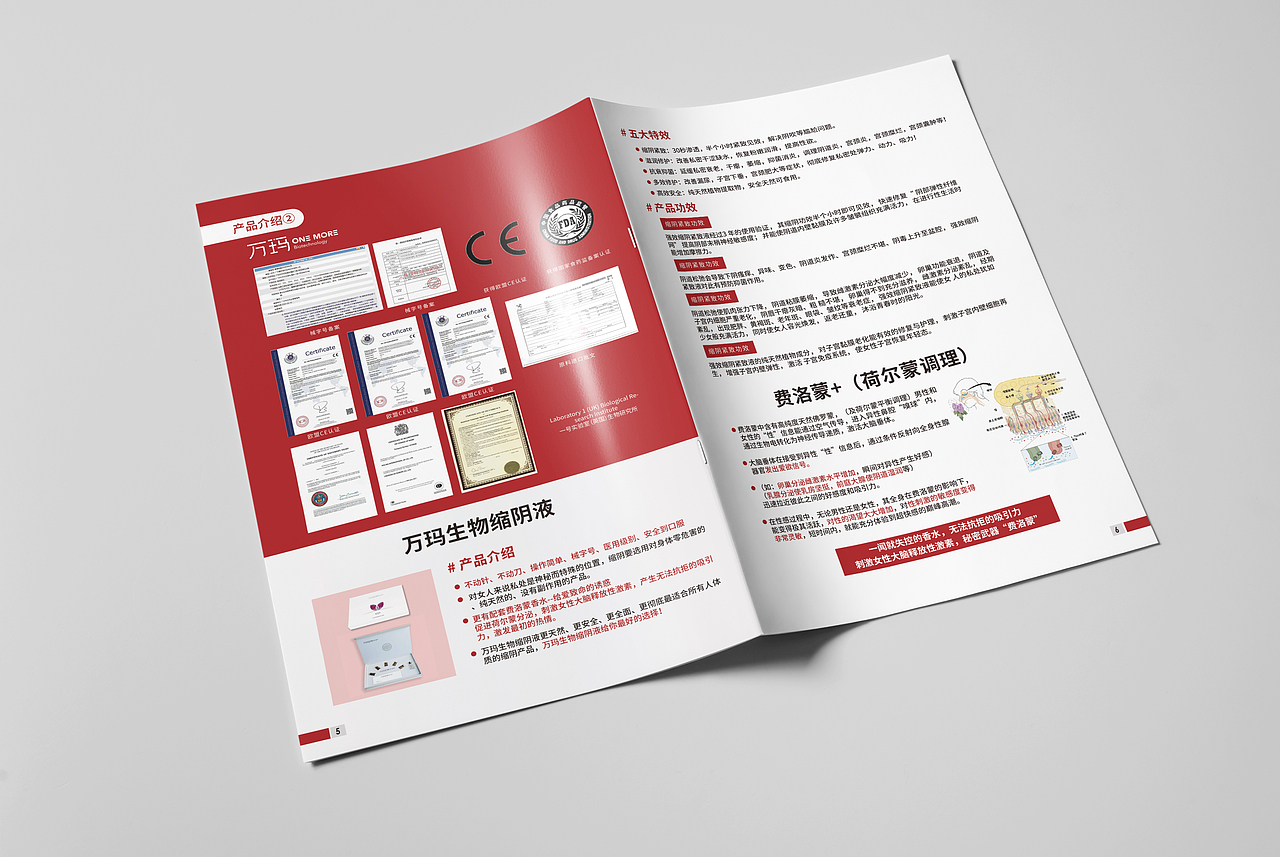 活动宣传册（图ZMjkzMTkzNjc2） - 书籍/画册 - 站酷设计师祁七七七七原创素材 - 站酷ZCOOL