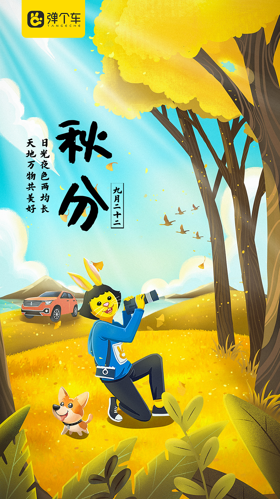 弹个车节气海报