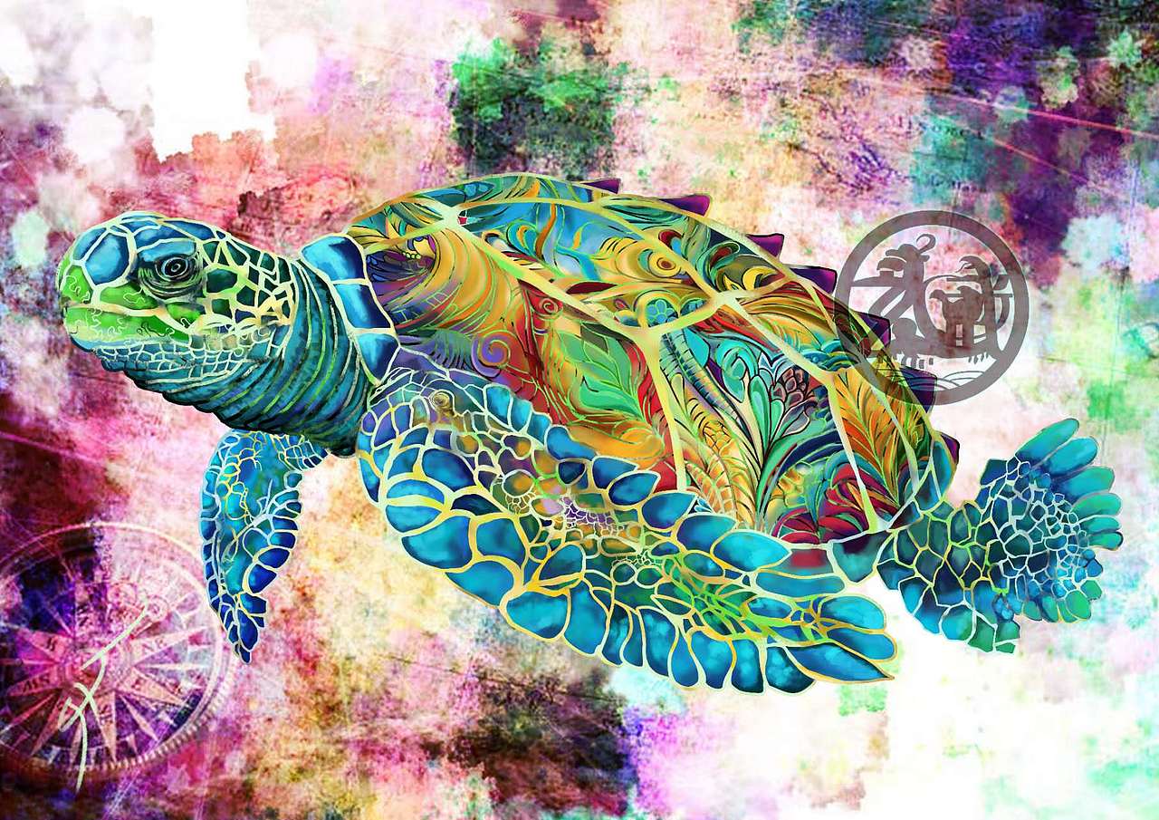 欧美剪贴画—海龟