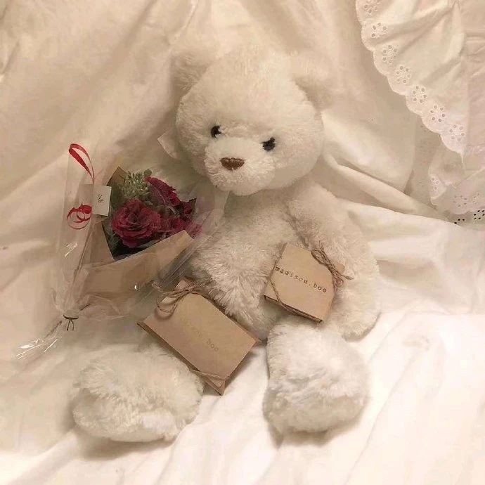 北慕y(tǒng)a的個人主頁（背景預(yù)覽） - 主頁背景設(shè)置 - 站酷設(shè)計師北慕y(tǒng)a原創(chuàng)素材 - 站酷ZCOOL