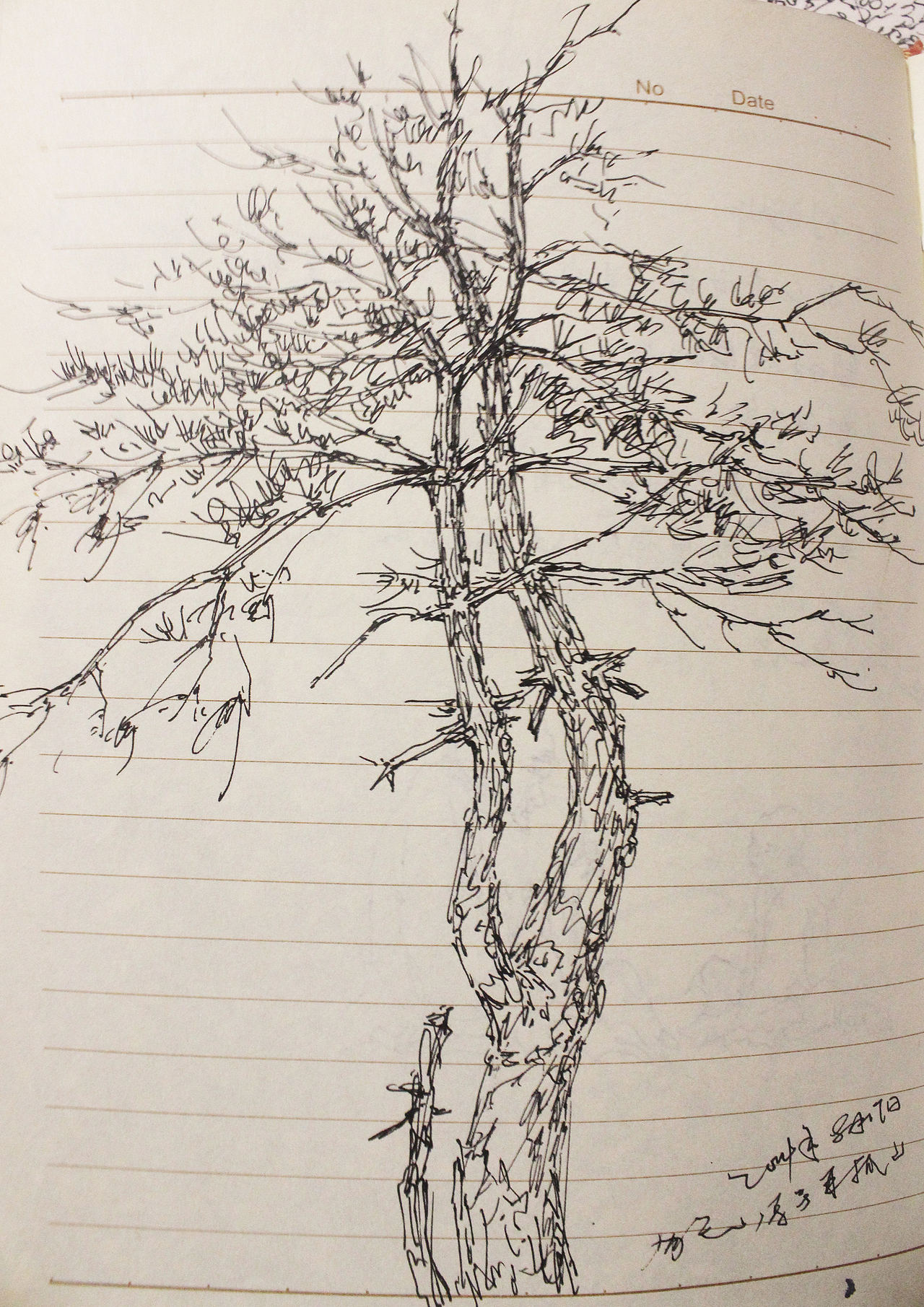 风景速写 之岚皋