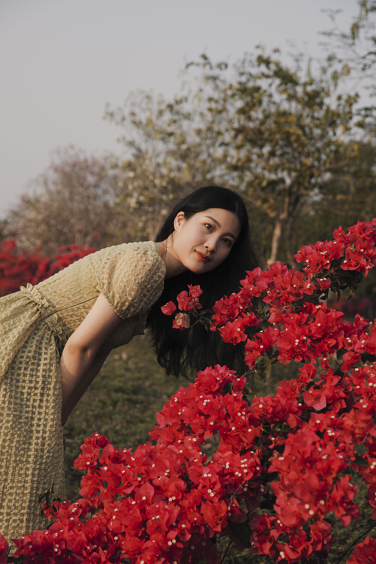 人像摄影 三角梅花海复古情绪写真