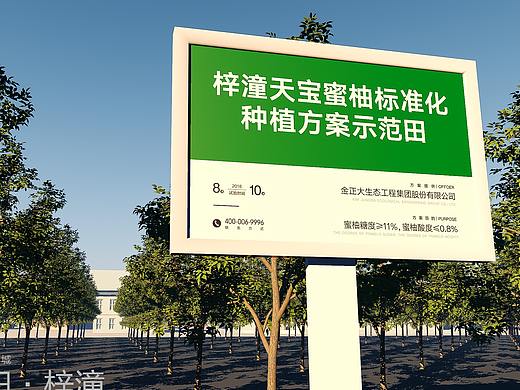 四川梓潼天宝蜜柚标牌设计