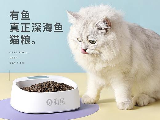 有鱼猫粮详情案例