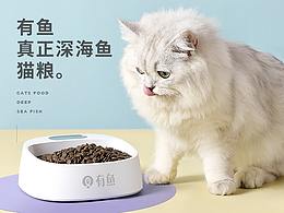 网页设计