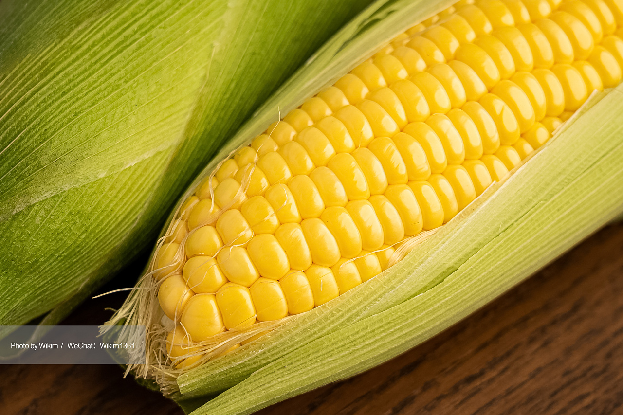 玉米食材拍摄美食摄影