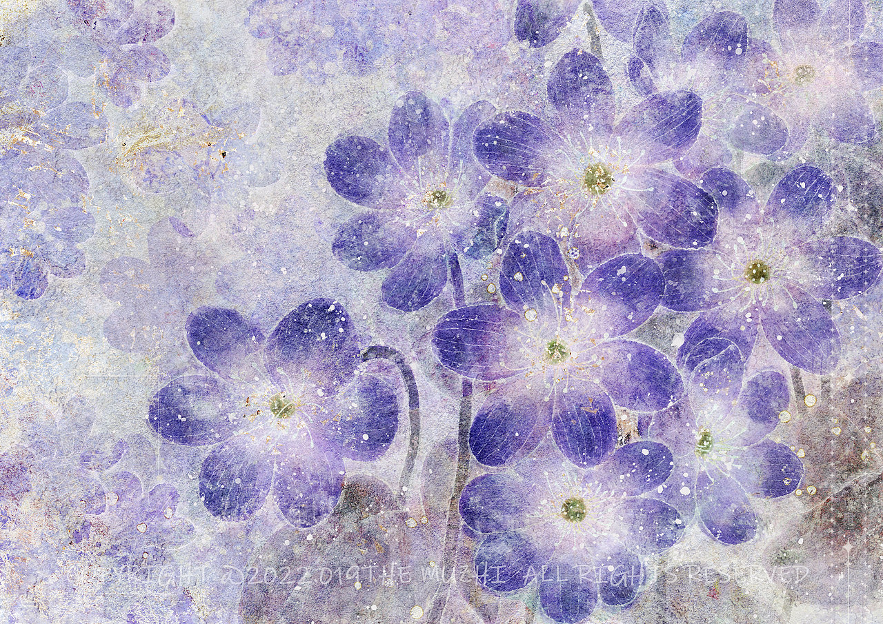 【procreate仿岩彩】花卉作品集（图ZMzUyNTQ1Njg0） - 创作习作 - 站酷设计师画画的苜芝原创素材 - 站酷ZCOOL