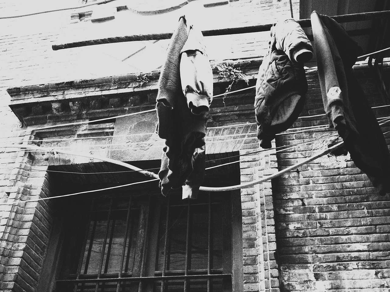 摄影作品（图ZMTA5NzU0NTI4） - 人文/纪实摄影 - 站酷设计师ann_yaa原创素材 - 站酷ZCOOL