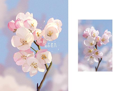 速涂总结