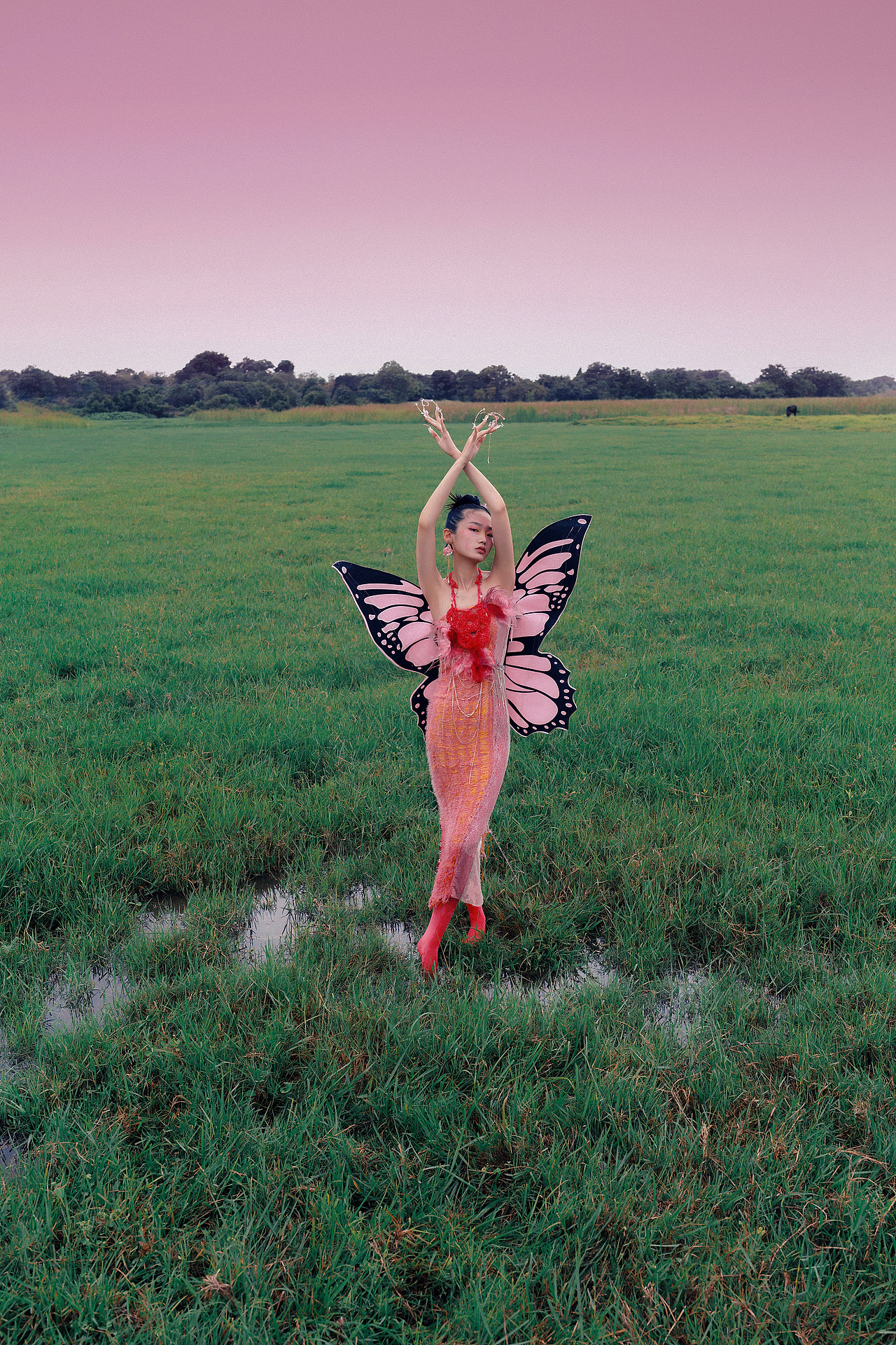 蝴蝶梦🦋