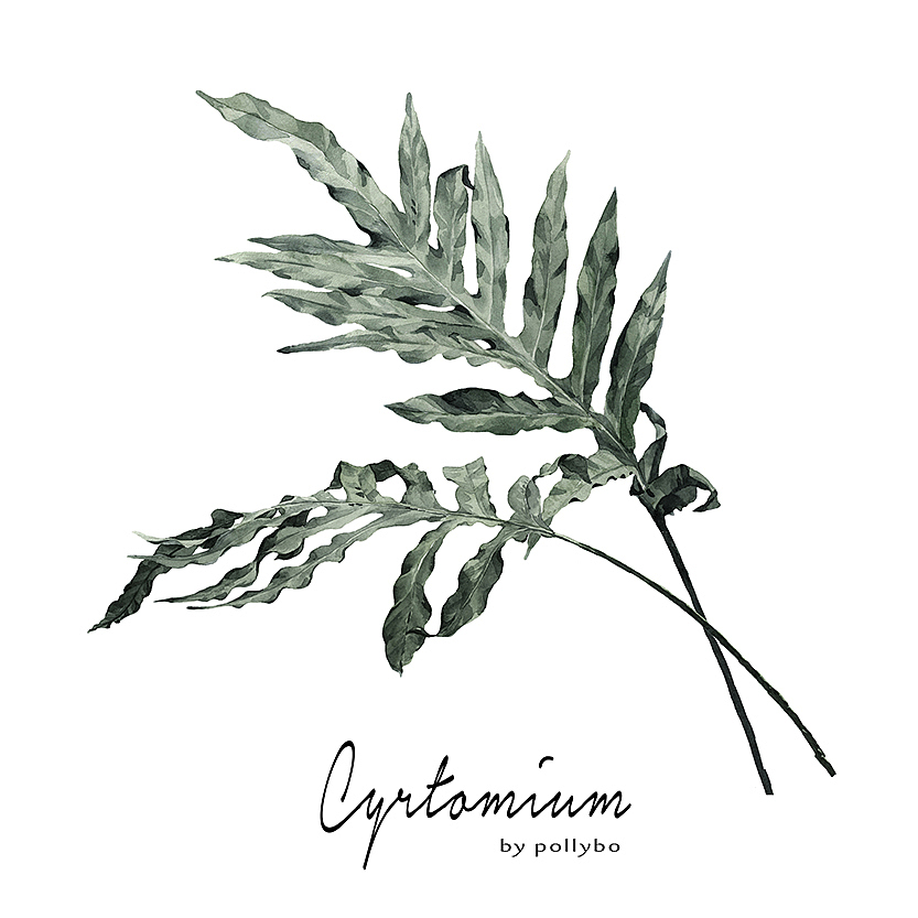 北欧植物 | 家居用品（图ZMTQwNjY1MTg0） - 商业插画 - 站酷设计师pollybo原创素材 - 站酷ZCOOL