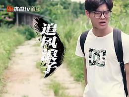 乐事恶搞广告《变星计》