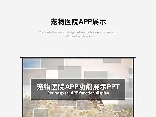 宠物医院PPT展示