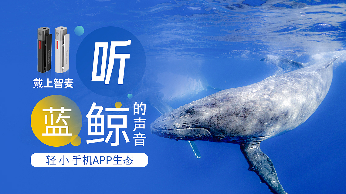 信息流投放/亚马逊北美、日本站/海外投放pr视频制作