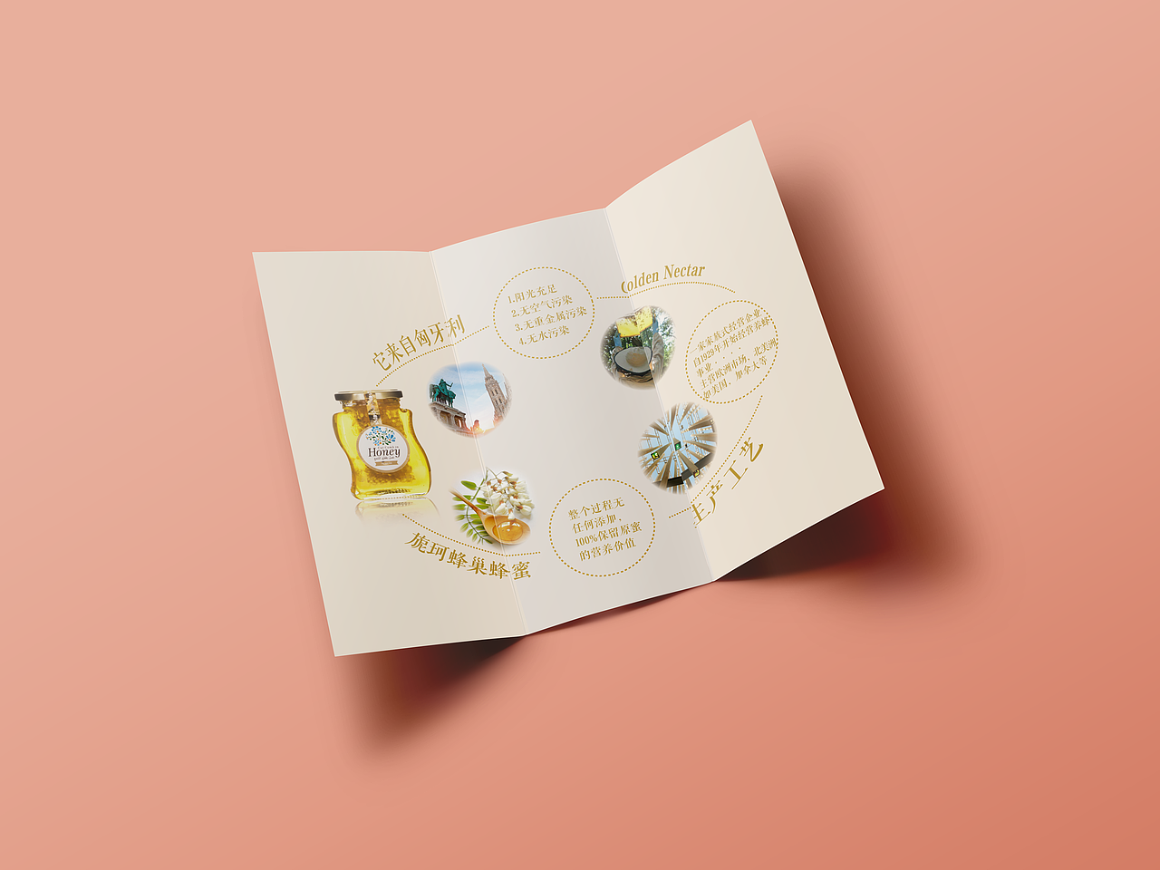 三折页练习（图ZNzQ0Mjc3NjA=） - 宣传物料 - 站酷设计师Y兔子原创素材 - 站酷ZCOOL