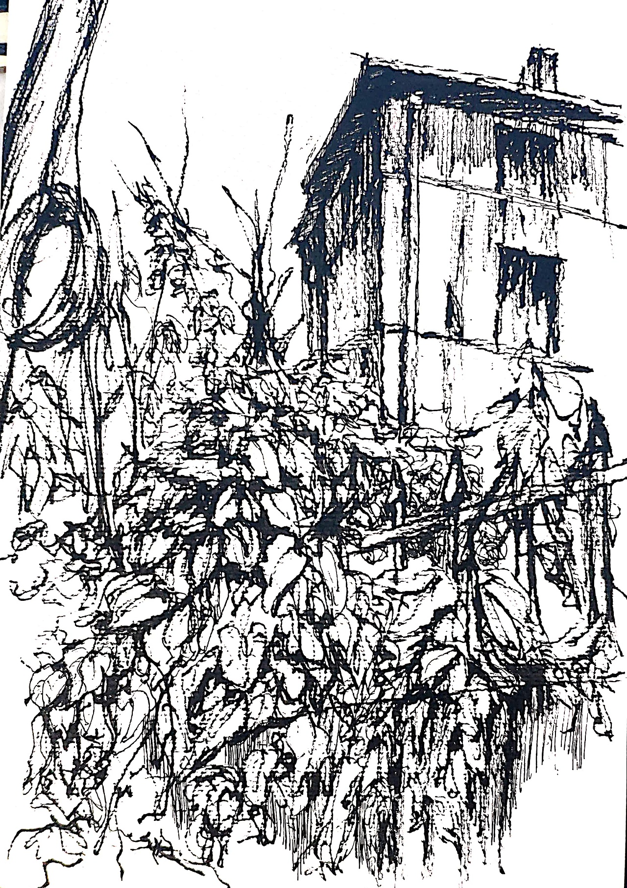 青岛写生 钢笔画