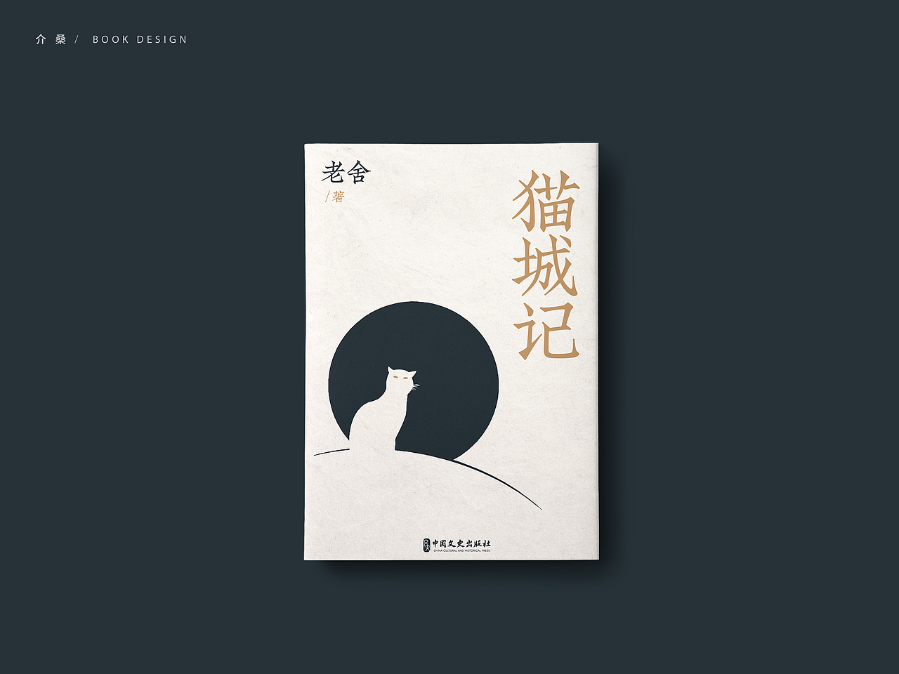 书籍装帧 bookdesign | 13