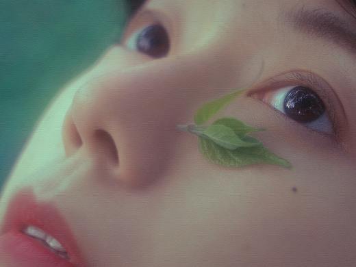 花与Lolita