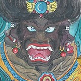 士申的头像
