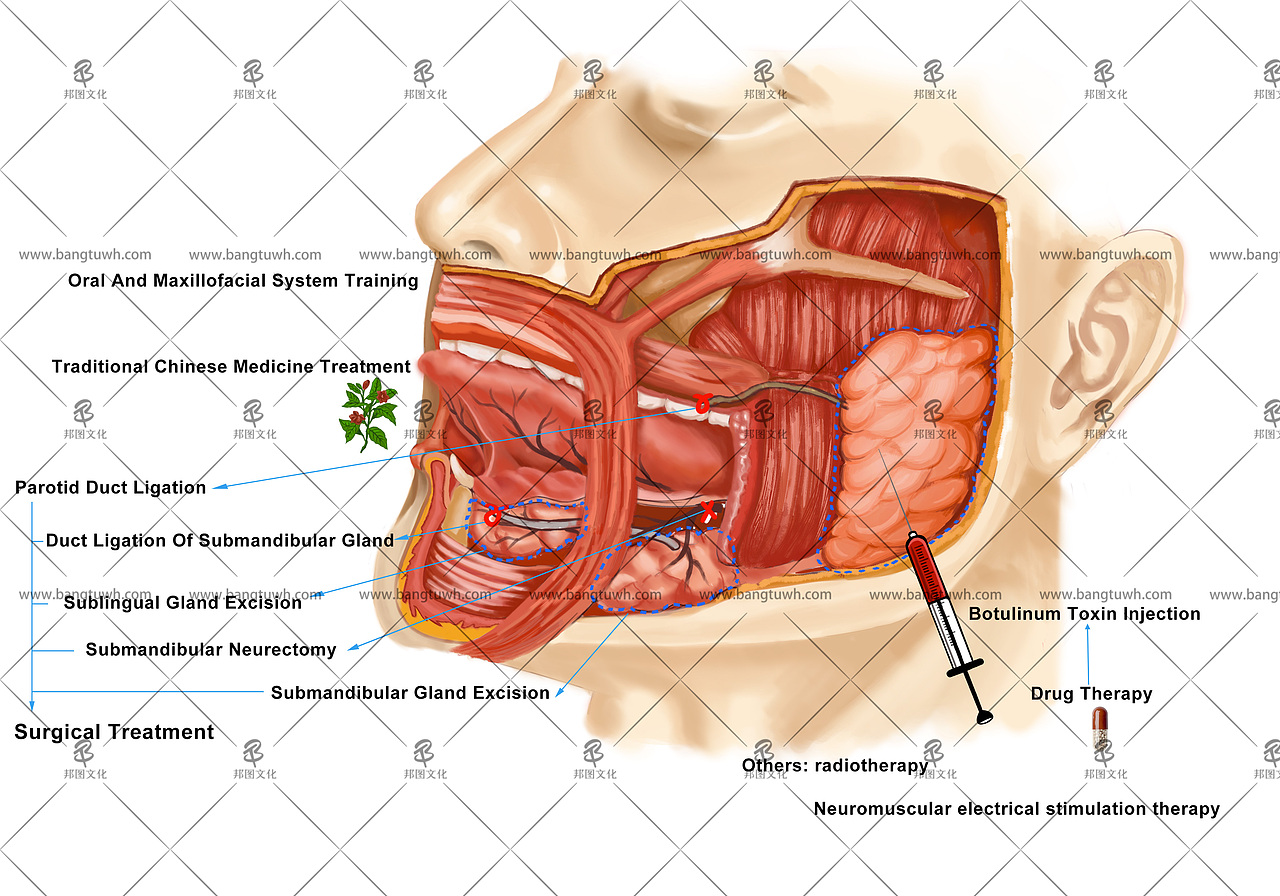 邦图科研绘图SCI画图学术杂志封面设计示意图医学动画