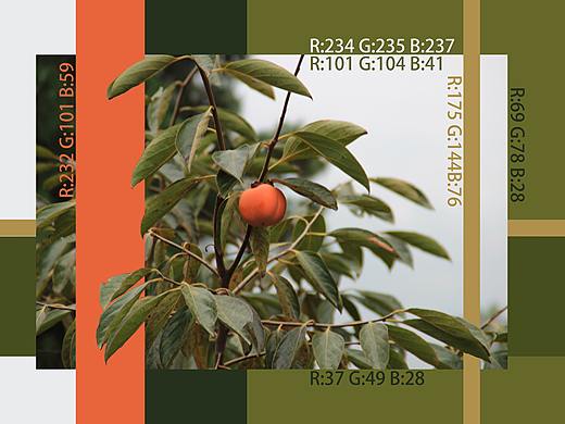 徐州秋天的色卡