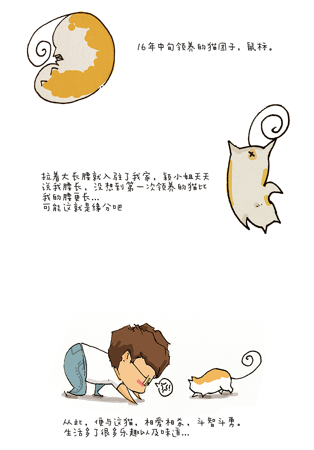 养猫日记-第一章:家里来了只猫