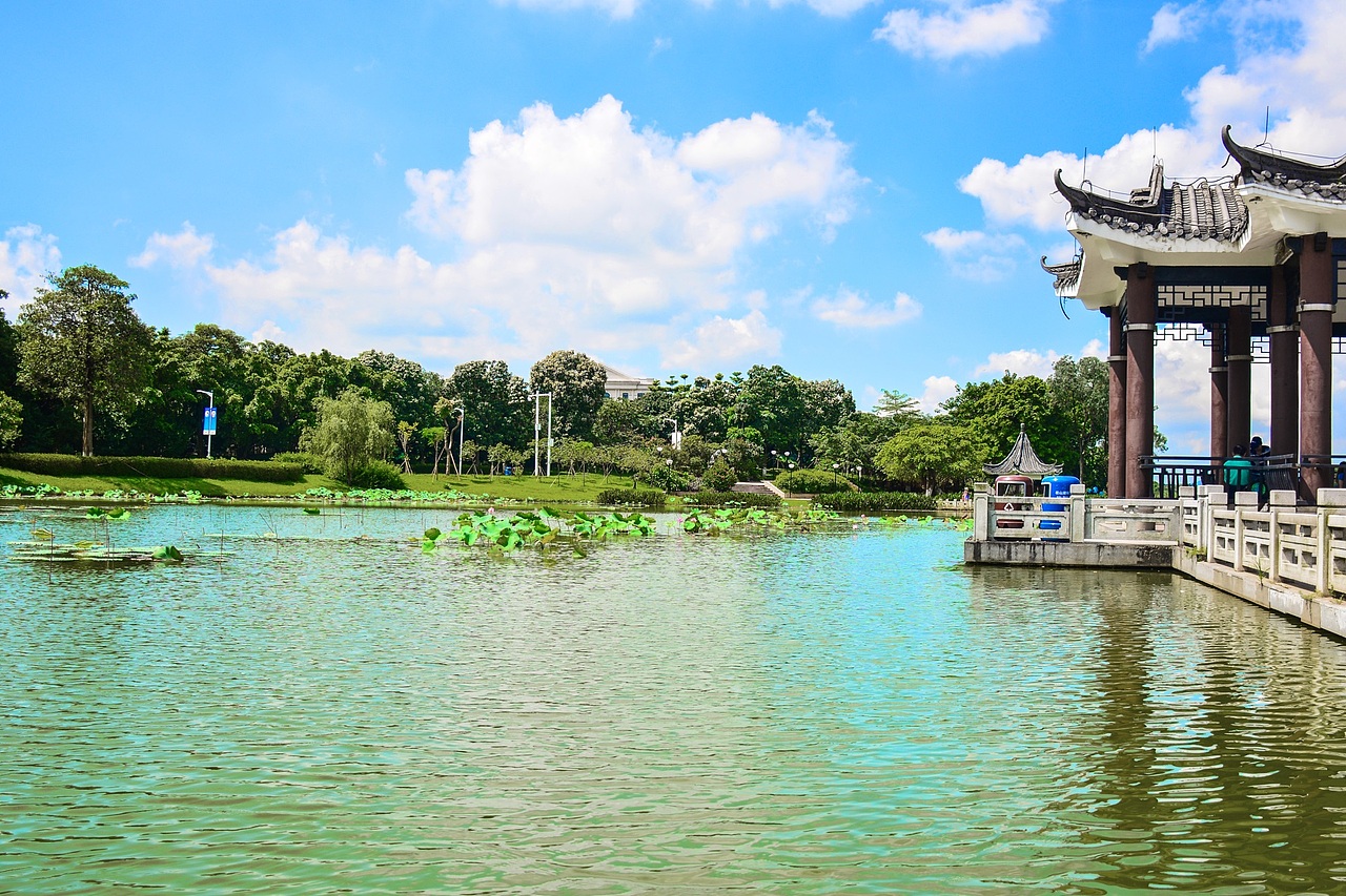同事同学 家人艾特 松山湖
