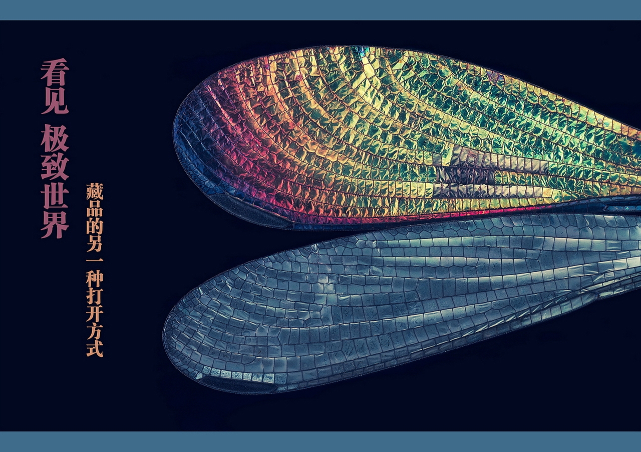 伯奇杯中国十大创意摄影师袁稷_高科技玩转堆叠摄影（图ZMTUyOTQ4MTQ4） - 风光摄影 - 站酷设计师美食摄影师陈燕飞原创素材 - 站酷ZCOOL