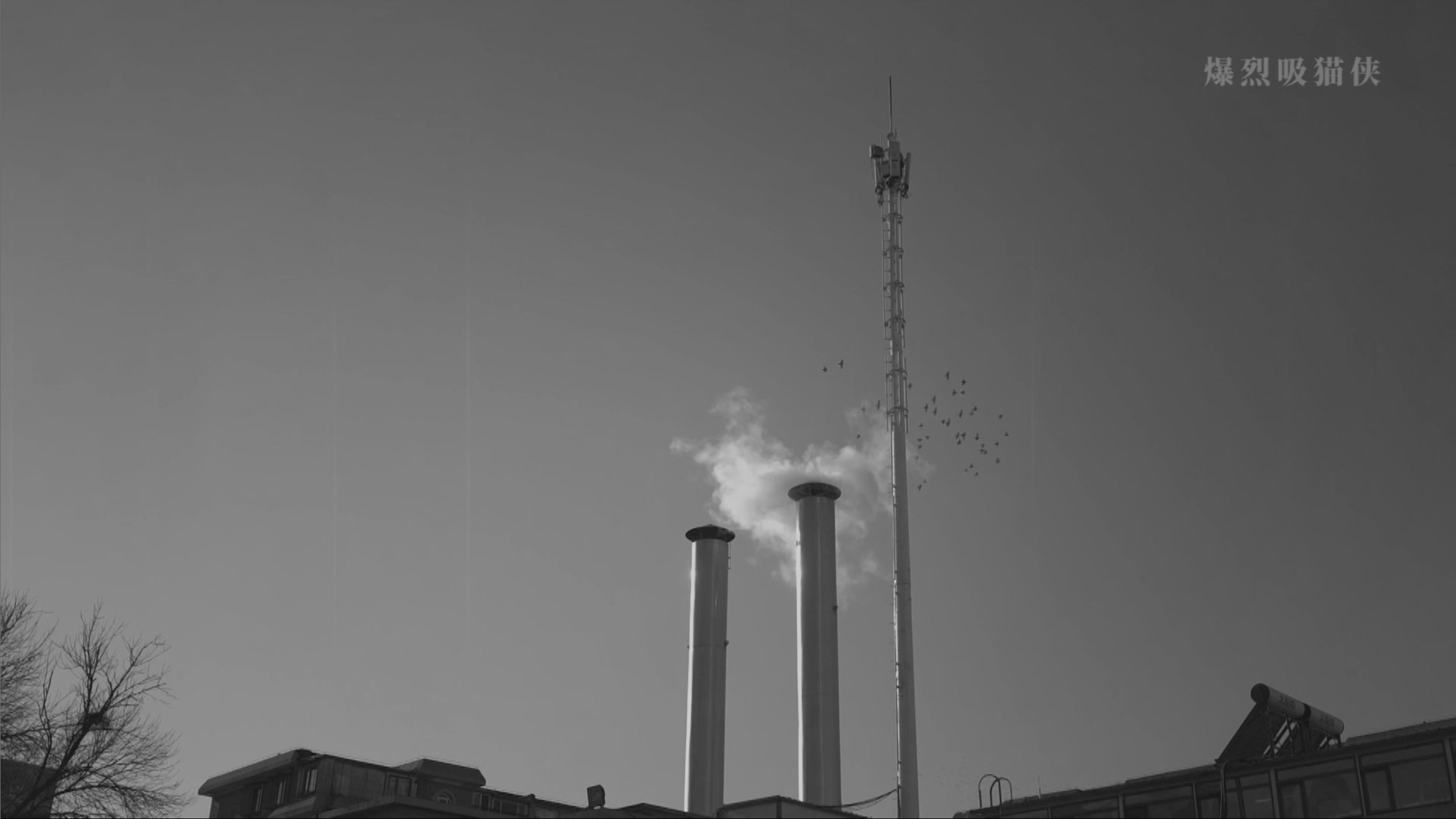 吸猫侠的个人主页（封面预览） - 主页封面设置 - 站酷设计师吸猫侠原创素材 - 站酷ZCOOL