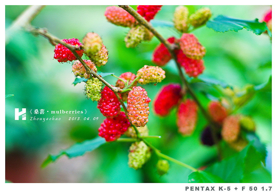 《桑葚.mulberries》（图ZODk2MDM4OA==） - 产品摄影 - 站酷设计师haodychou原创素材 - 站酷ZCOOL