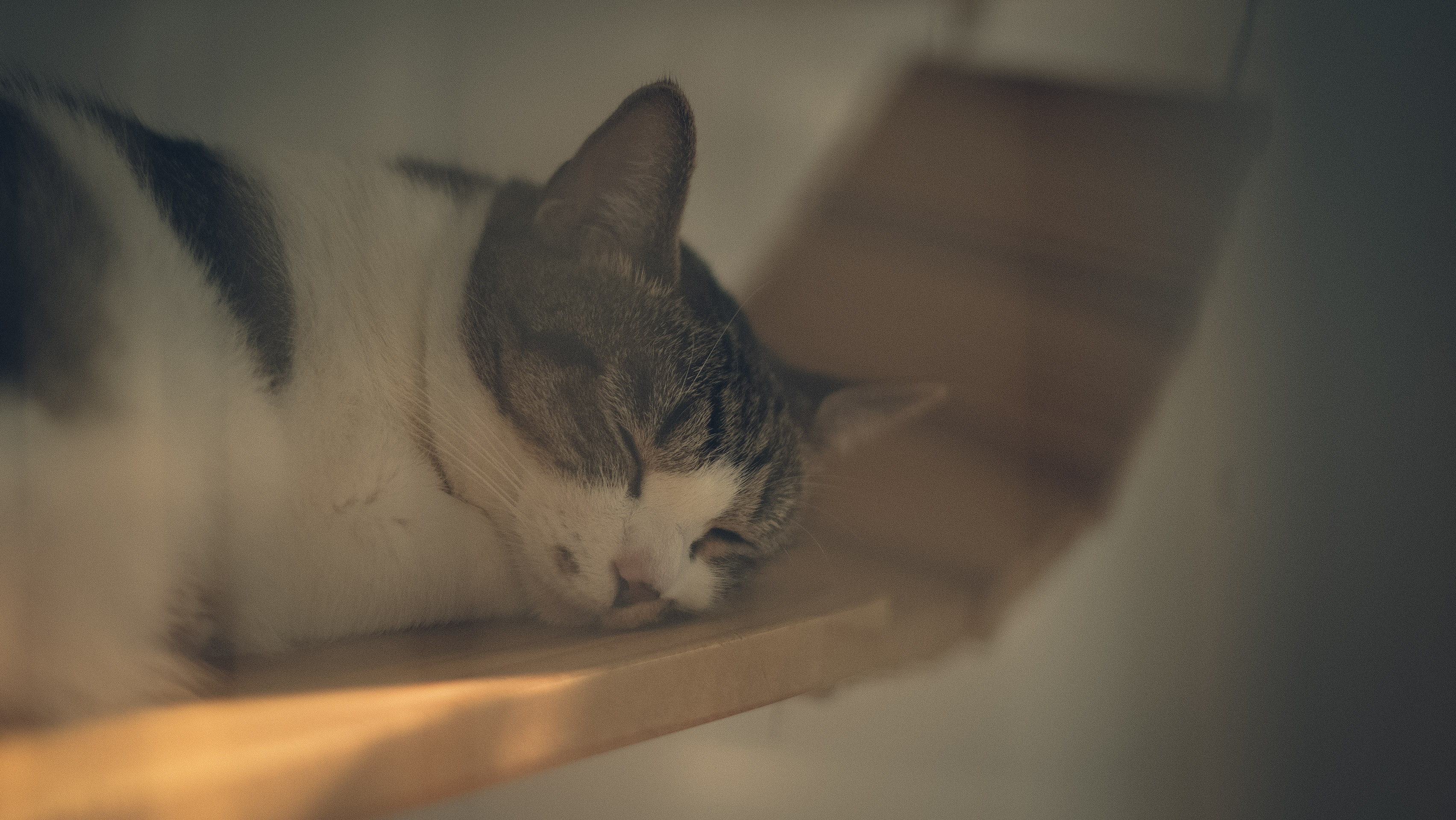 Guylee的个人主页（封面预览） - 主页封面设置 - 站酷设计师Guylee原创素材 - 站酷ZCOOL