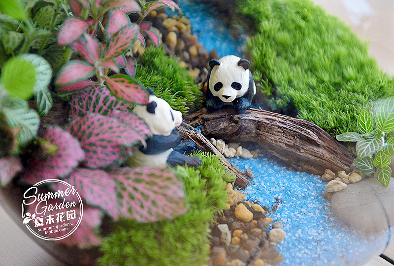 绿植手作之熊猫吉祥三宝--《夏末花园成长日记11》（图ZMTgwNjc1MzY=） - 其他手工艺 - 站酷设计师zxsummer原创素材 - 站酷ZCOOL