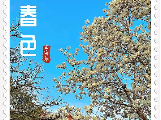 我见过的春日浪漫（一）（个人主页-ZNTkwMzE1MjQ=） - 风光摄影 - 站酷设计师胖叔dir原创素材 - 站酷ZCOOL