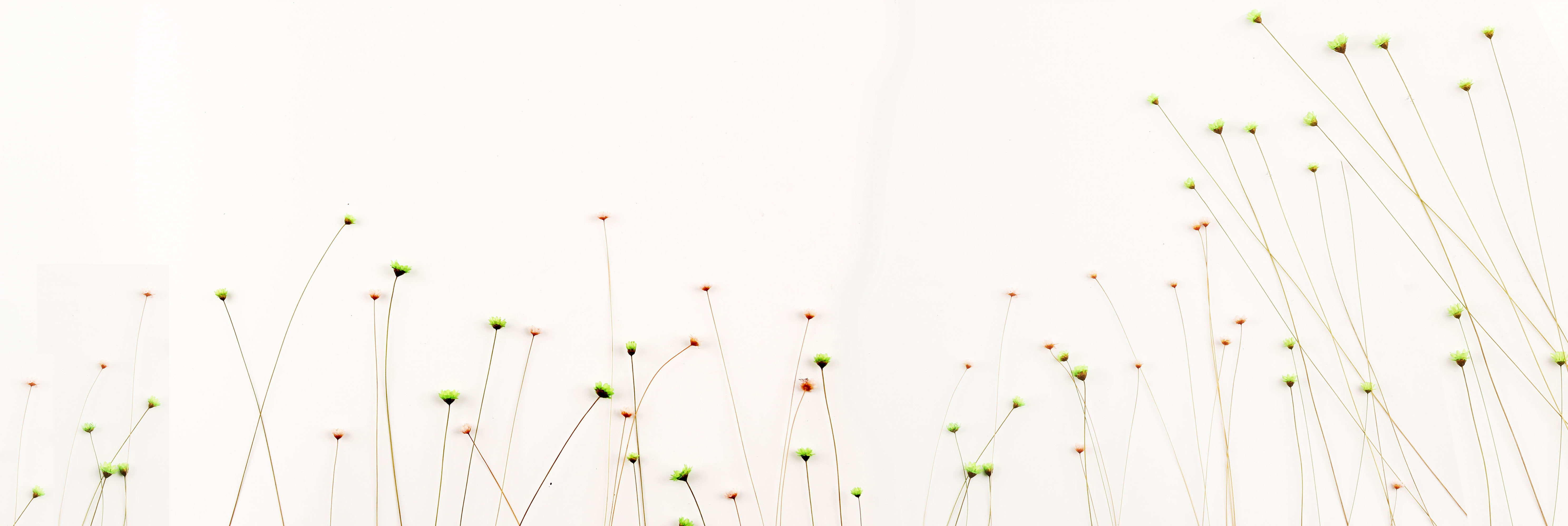 栗子ii的个人主页（背景预览） - 主页背景设置 - 站酷设计师栗子ii原创素材 - 站酷ZCOOL