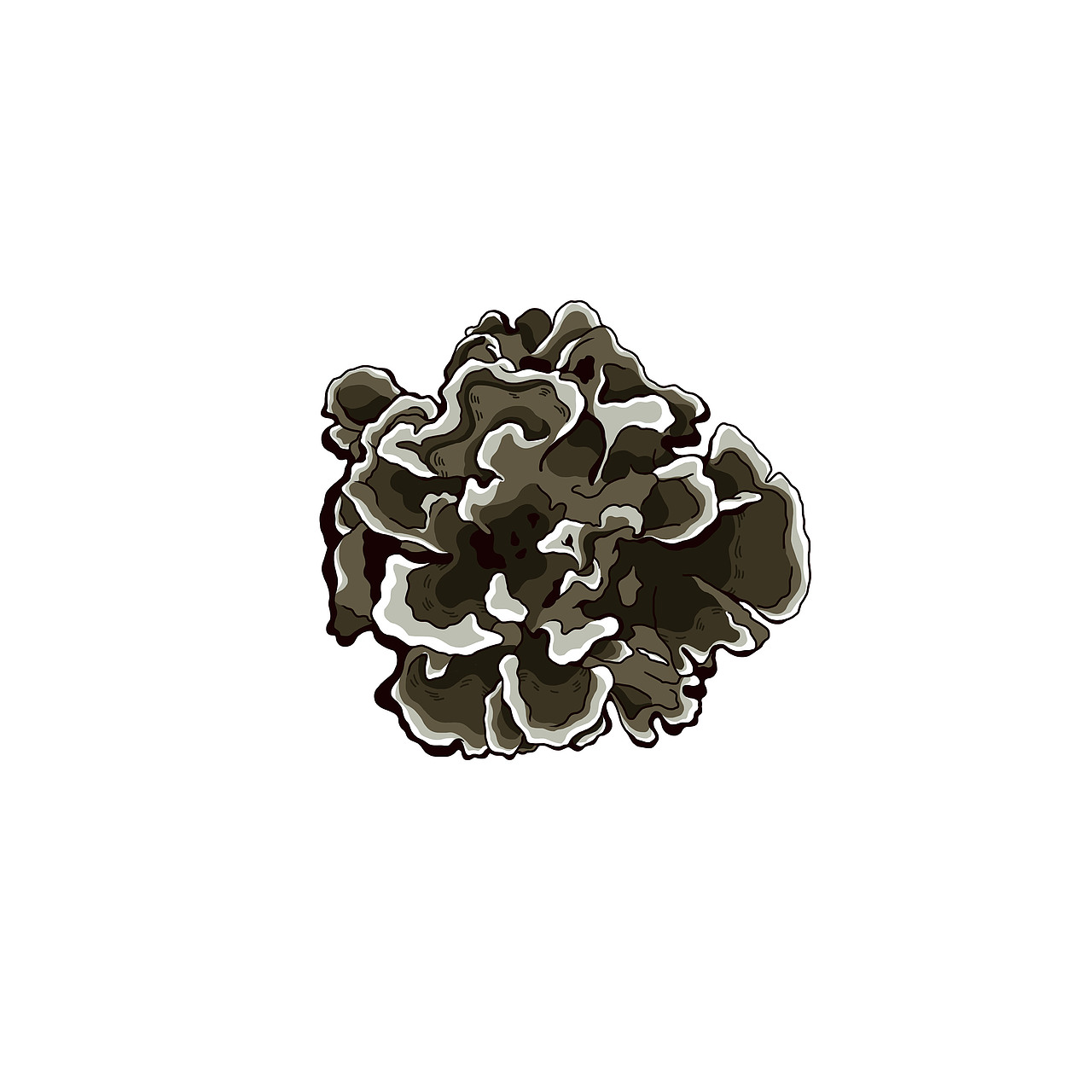 板绘插图（图ZMTYyNDUxMzMy） - 创作习作 - 站酷设计师想吃鸡排原创素材 - 站酷ZCOOL